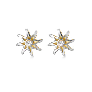 9K 2 Colour Gold CZ Star Stud Earrings