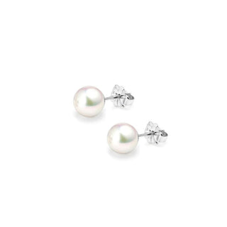 18K White Gold Akoya AAA Grade Pearl Stud Earrings 6mm