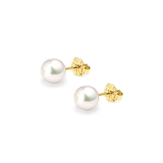 18K Yellow Gold Akoya AAA Grade Pearl Stud Earrings 7.5mm