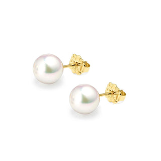 18K Yellow Gold Akoya AAA Grade Pearl Stud Earrings 8.5mm